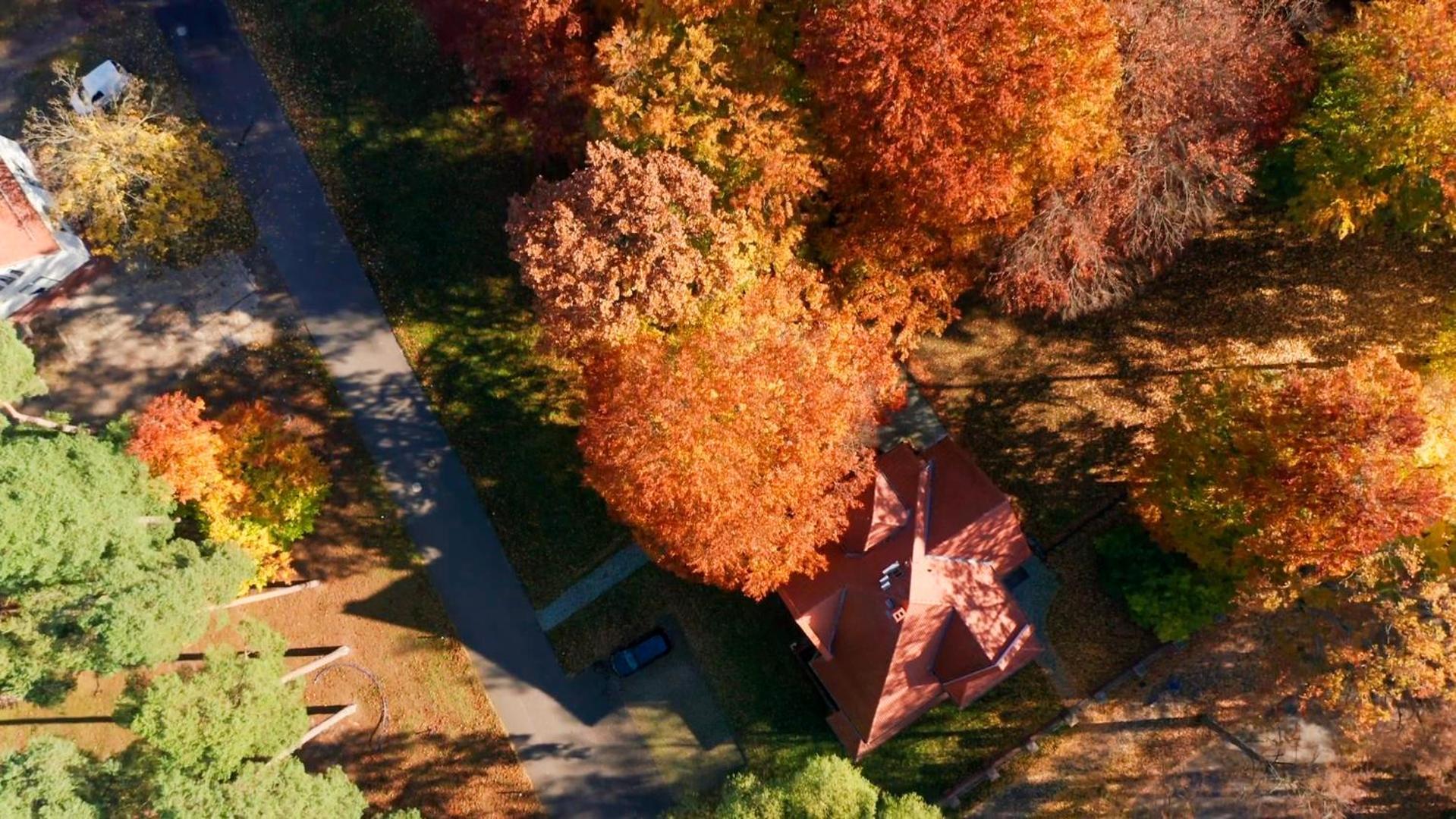 Parkresidenz Lychen, Ferienwohnung 4 Zewnętrze zdjęcie